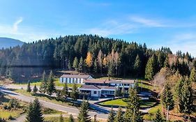 Hotel Forest